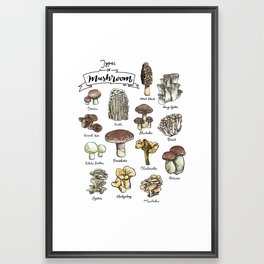 Types of Mushroom Framed Art Print