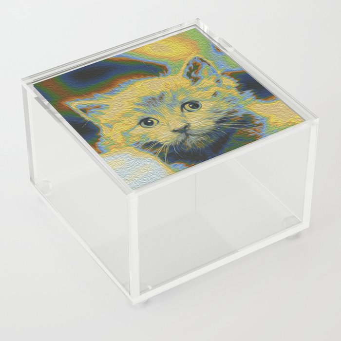 Cats are Art, Kitten 7 Acrylic Box