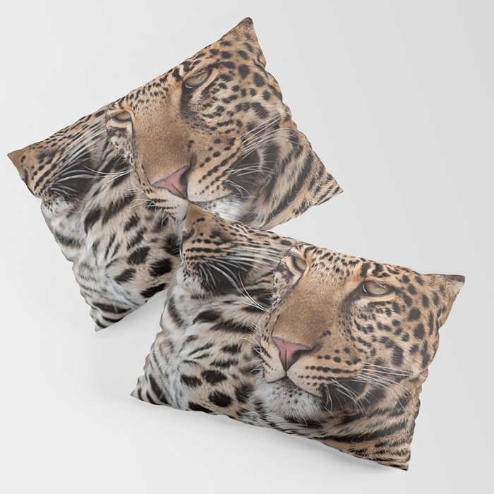 South Africa Photography - Two Beautiful Leopards Pillow Sham