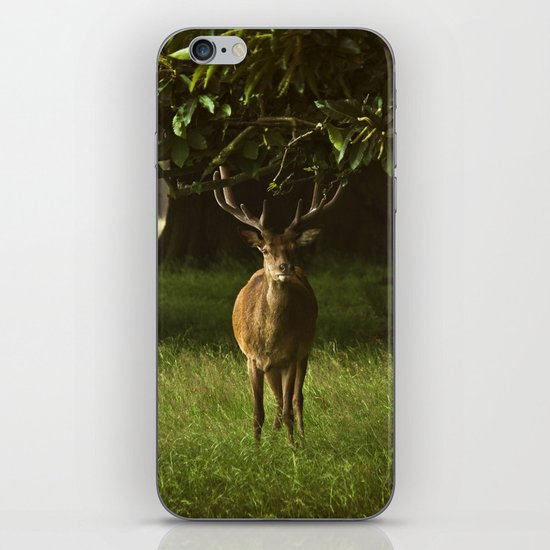 Deer iPhone & iPod Skin