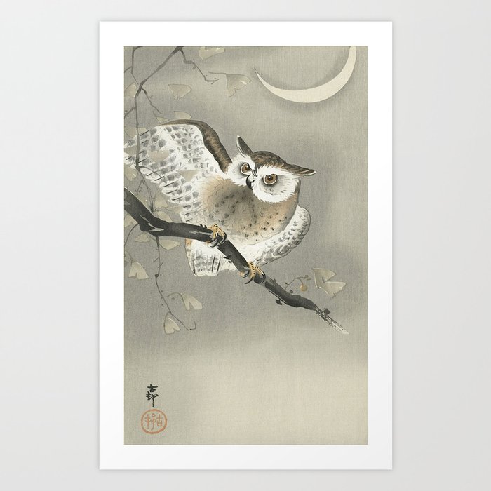 Koson Ohara - Long-eared Owl in Ginkgo - Japanese Vintage Ukiyo-e Woodblock Painting Art Print
