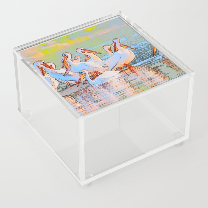 White Pelicans Acrylic Box