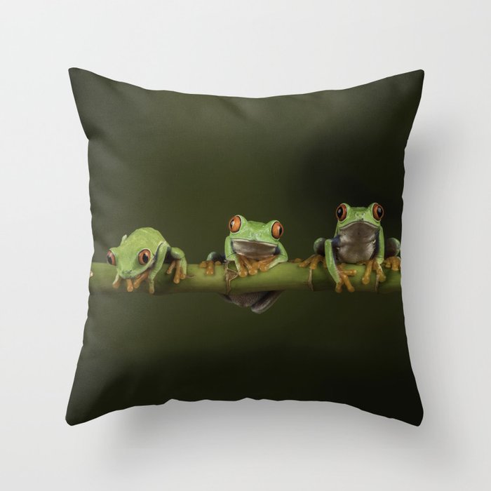 Adorable Red Eyed Tree Frogs On Bamboo Branch - Animal / Wildlife / Botanical / Nature / Minimal Photograph Throw Pillow and More