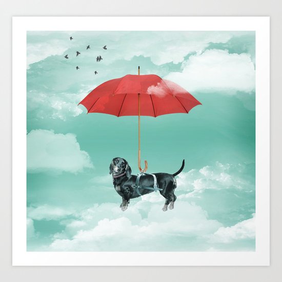 Dachshund chute Art Print