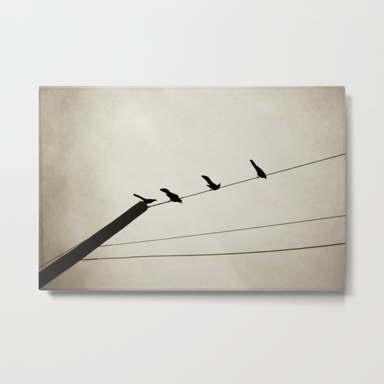 birds on a line Metal Print