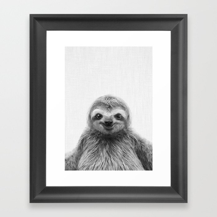 Young Sloth Framed Art Print By Taiprints Society6