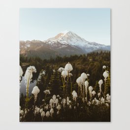 Mount Rainier NP Canvas Print