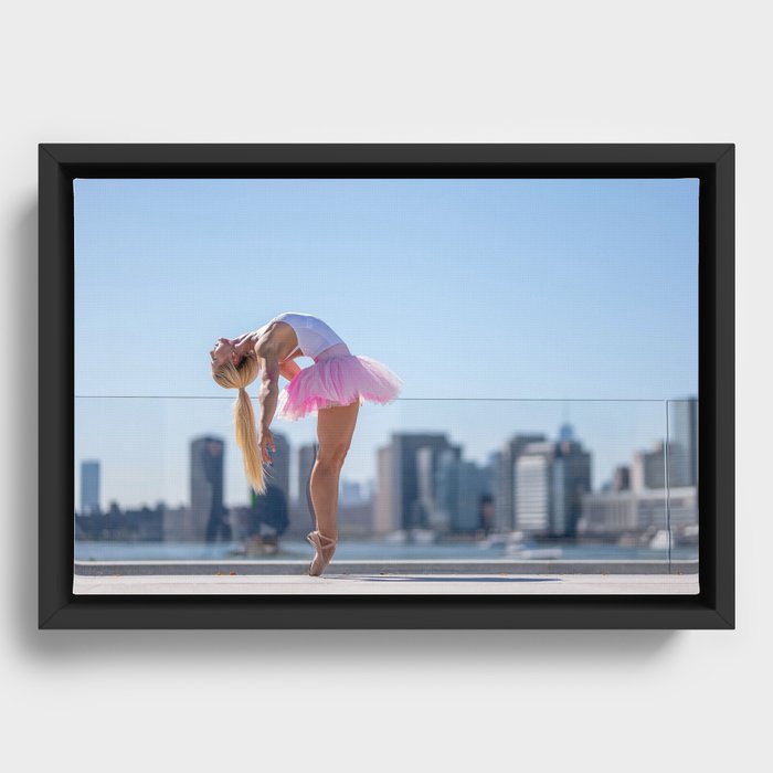 Framed Canvas