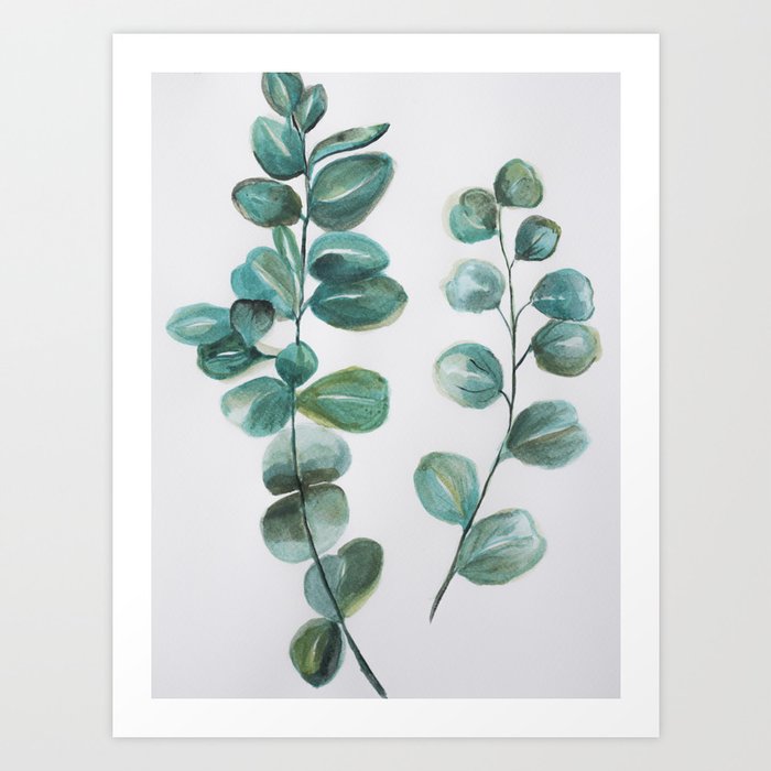Eucalyptus leaves, blue green round leaves Art Print by myartspace |  Society6