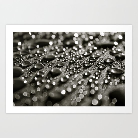Droplets 3 Art Print
