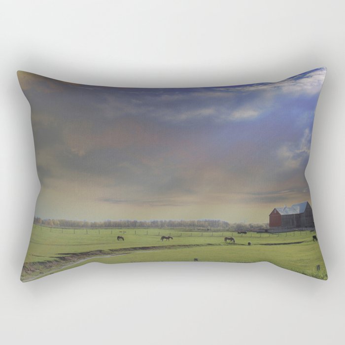 Down a Country Road Rectangular Pillow