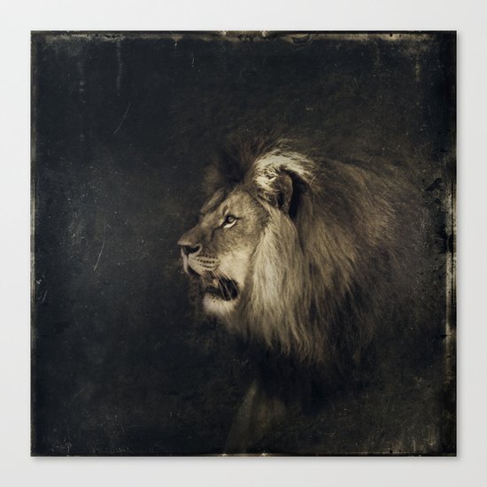 liOn Canvas Print