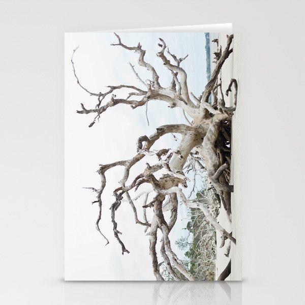 Driftwood Stationery Cards
