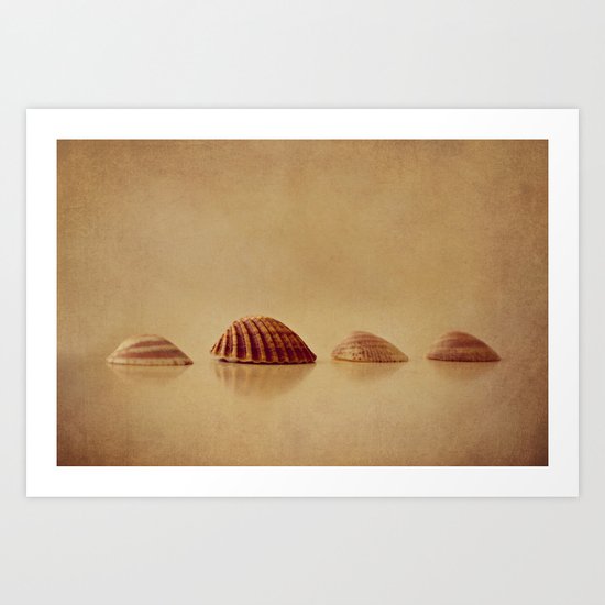 Shells Art Print