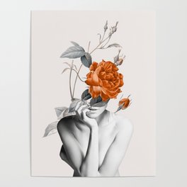 Rose 3 Poster