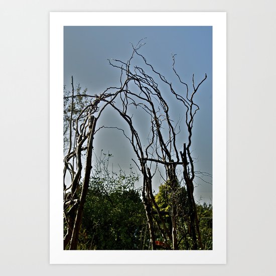 Spindly Art Print