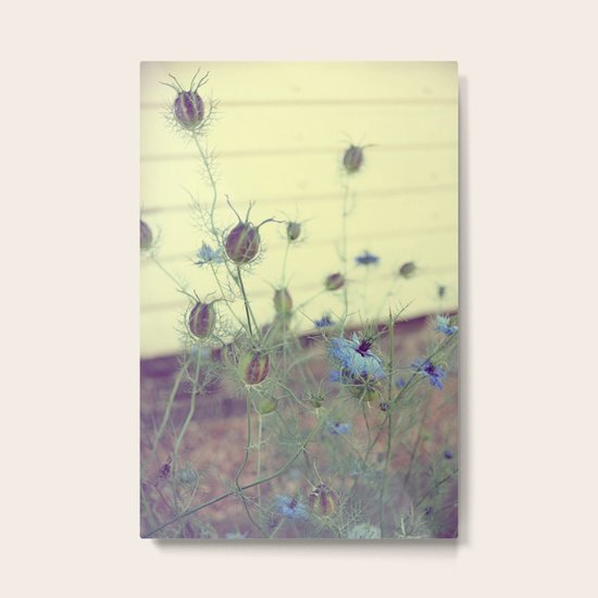 Demure Metal Print