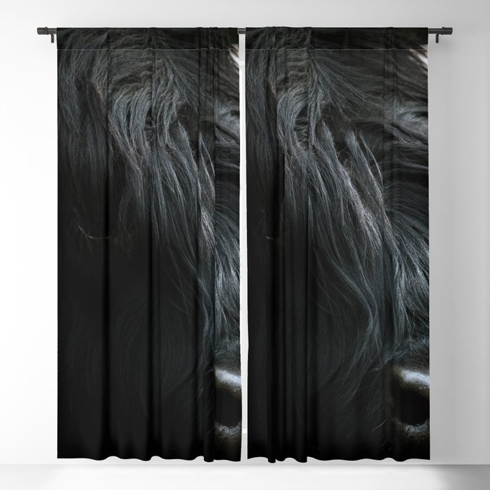 Blackout Curtain