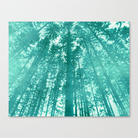Glory of the Magnificents Canvas Print