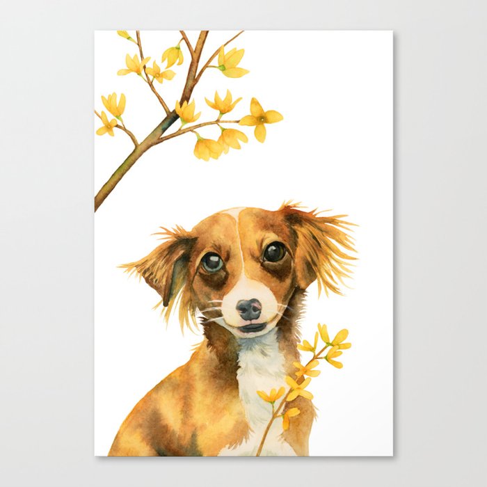 Signs Of Spring Cute Dog With Forsythia Watercolor Painting Canvas Print By Namibear Society6