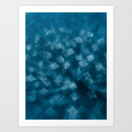 Mobula Rays in Baja California Sur, Mexico (Sea of Cortez) | Underwater Photography Art Print