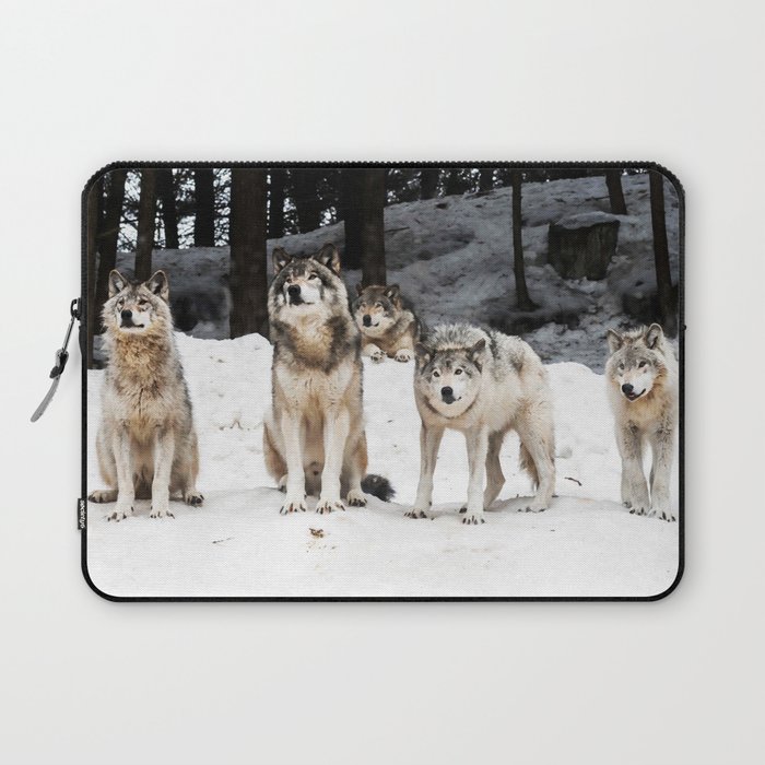 Landscape Photo Grey Wolf Gang Snowy Laptop Sleeve