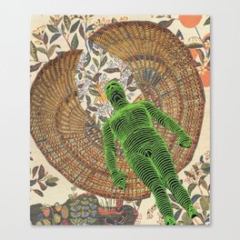 FlyGod Canvas Print