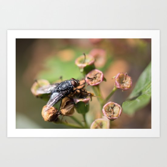 What's for dinner.... Art Print