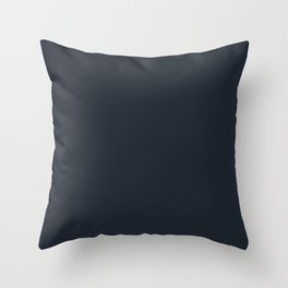 Sentinel Midnight Blue Throw Pillow