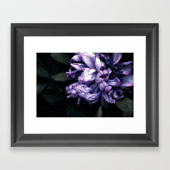 the purple lady Framed Art Print