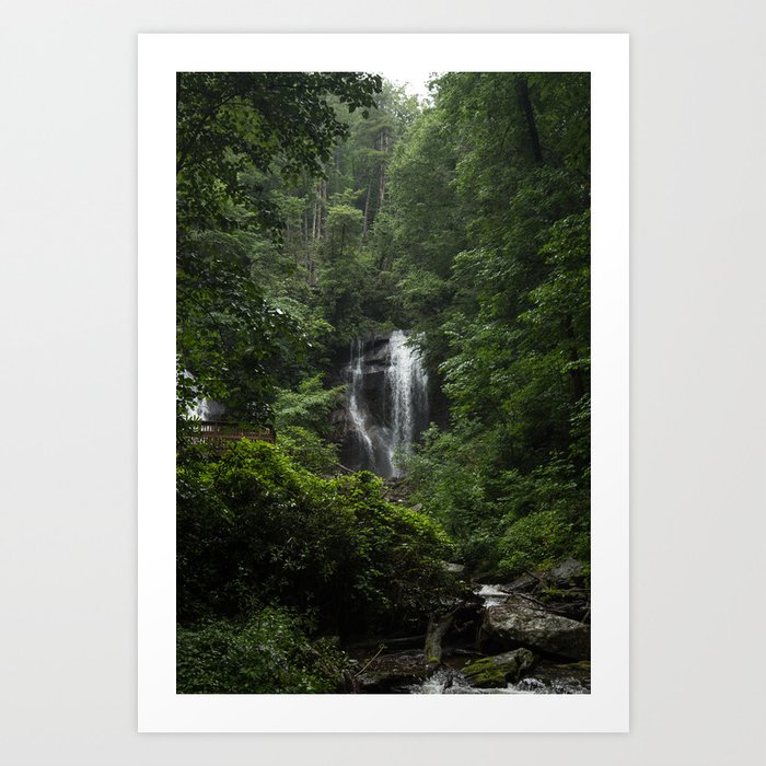 Anna Ruby Falls Art Print