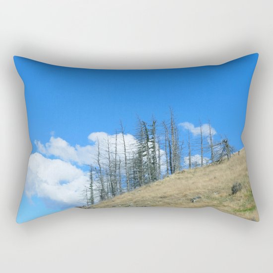 At The End Of The World Rectangular Pillow