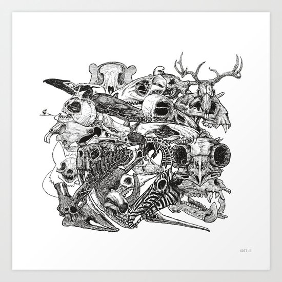 Animal Skulls Art Print