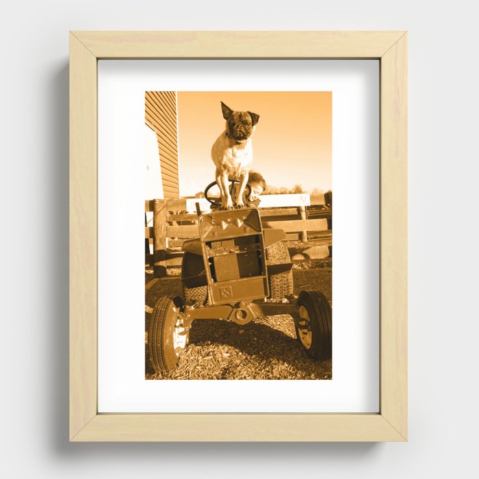 My son and dog on the farm Recessed Framed Print