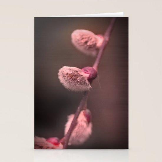 Weidenkätzchen Stationery Cards