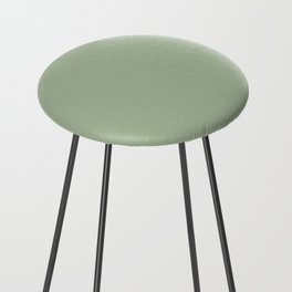 Laurel Green Solid Color Popular Hues Patternless Shades of Green Collection - Hex Value #A9BA9D Counter Stool