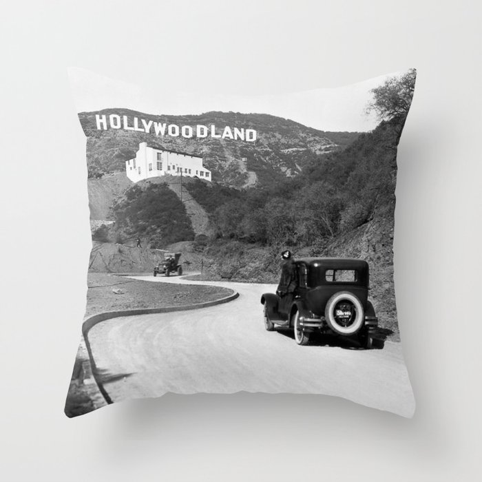 Throw Pillow