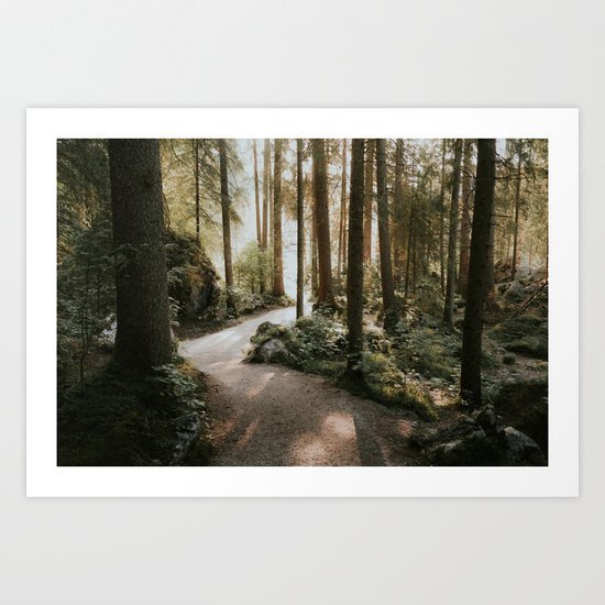 Lost in the Forest - Landscape Photography Art Print