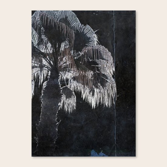 Palm Tree Canvas Print