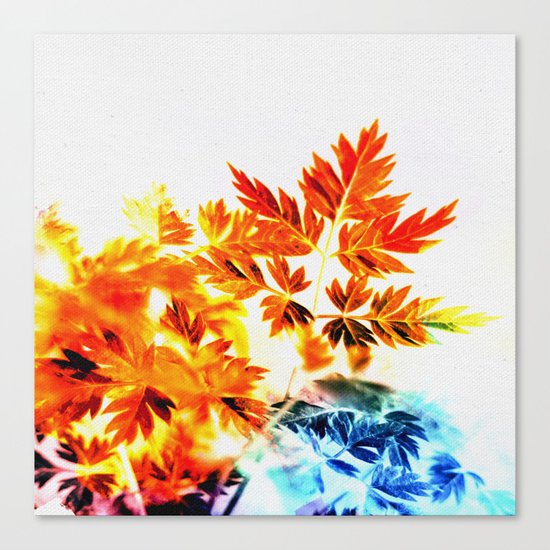 Enchanted Fern Leaves Canvas Print