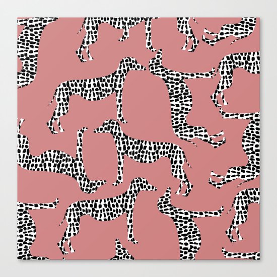 Spotted Greyhounds Canvas Print