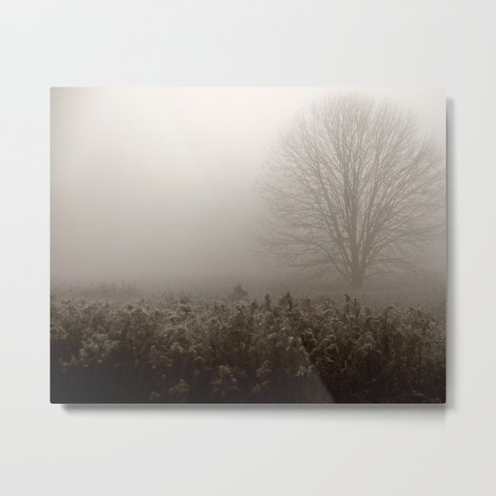 Falls first frost Metal Print