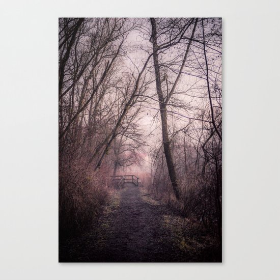 the path over the bridge Canvas Print