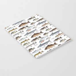 A Few Freshwater Fish Notebook