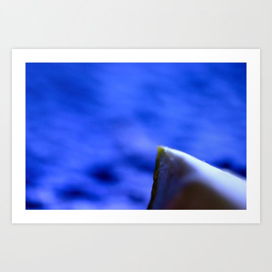 sailing Art Print