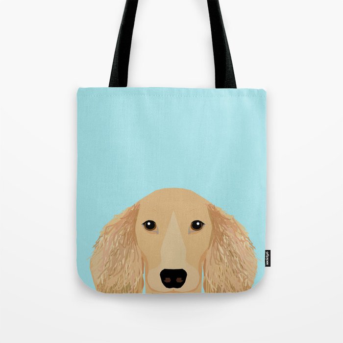 Long Haired Dachshund Cream Coat Cute Pet Portraits Custom Dog