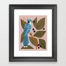 Blue Jay And Berries Framed Art Print