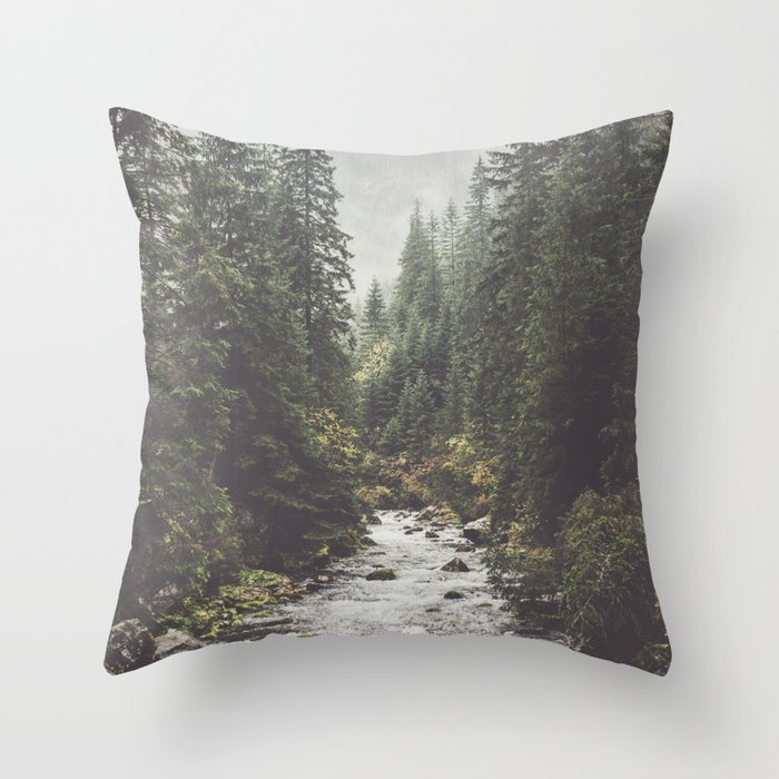 Throw Pillow