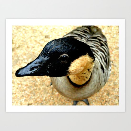 duck. Art Print