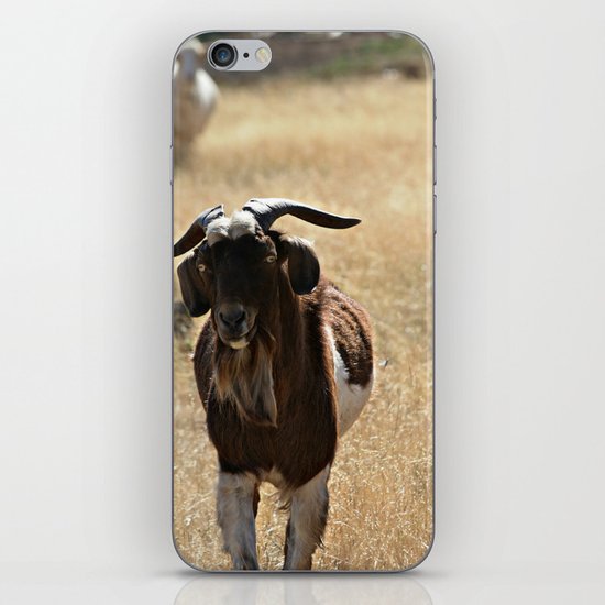 Goat iPhone & iPod Skin